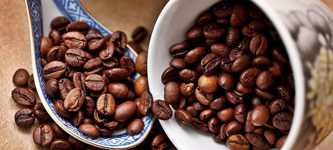coffee bean types chart