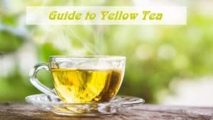 yellow tea (Small)