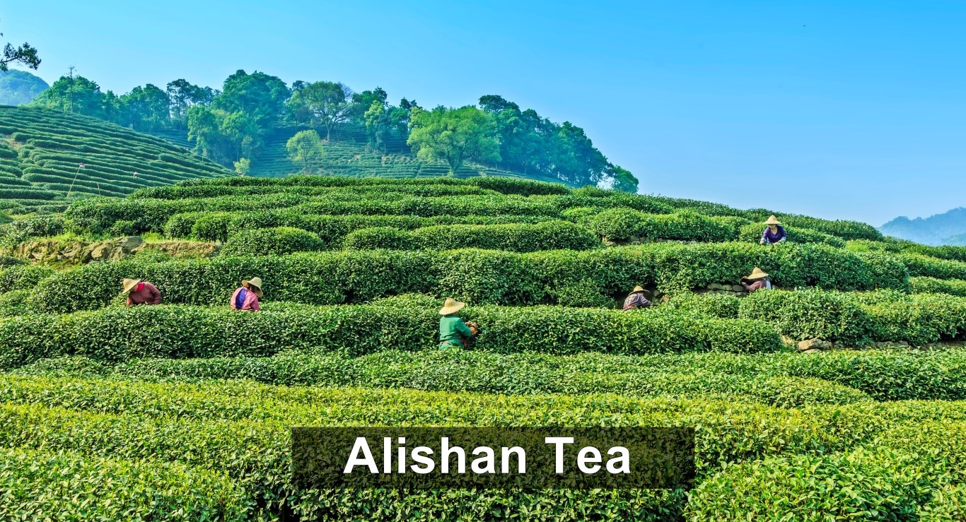 Alishan Tea