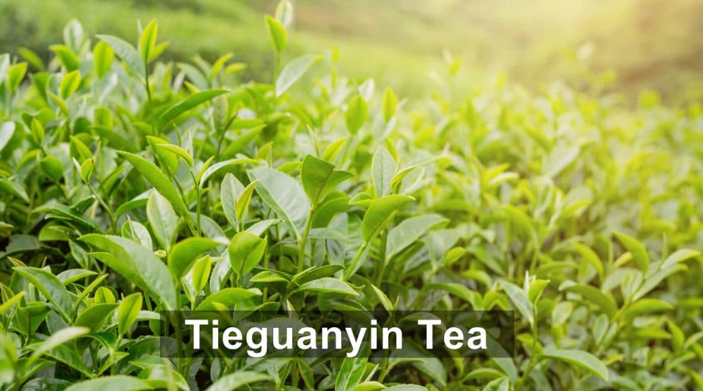 Tieguanyin Tea