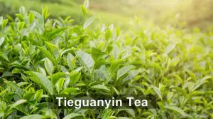 Tieguanyin Tea