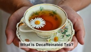 decaffeinated tea